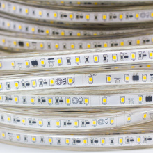 high voltage strip remote control 220V SMD 5050 RGB led strip  60LED 1M Cut 50m/roll  with plug